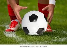 STYKO：hally是我心中的2025年度最佳教练