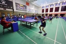 8-0横扫韩国，“动漫组合”险中取胜，国乒收获混团世界杯5连胜