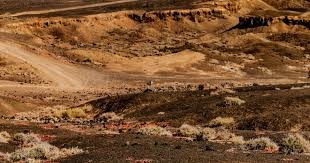 快船翻盘成功！伦纳德+哈登携手出击，力克尼克斯抢占西部第六！